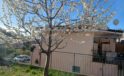 Boissano villetta semi-indipendente su due livelli con giardino e spazio esterno vivibile. Ns. rif. 05-576