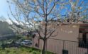 Boissano villetta semi-indipendente su due livelli con giardino e spazio esterno vivibile. Ns. rif. 05-576